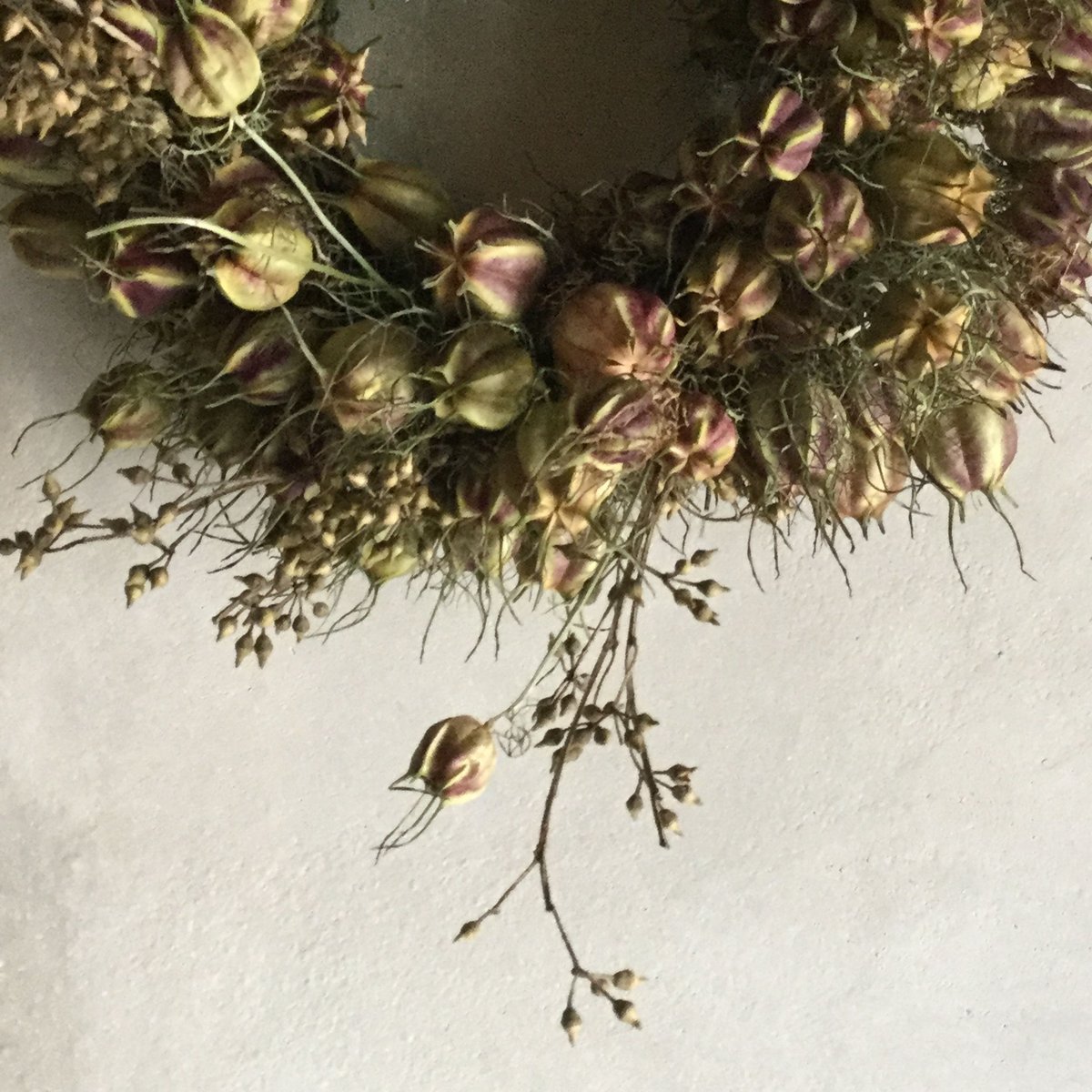 ユーカリと木ノ実と花々　リース Dried Nigella & Eucalyptus Wreath (ニゲラとユーカリの実のド