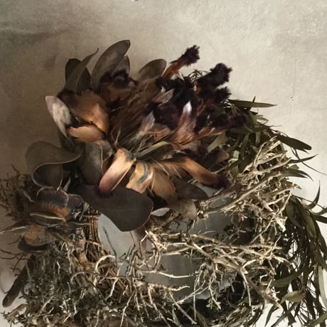 Tree Bush & Protea Niobe Wreath (ツリーブッシュとプロテア・ニオべのリース)