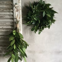 Bay Leaf Wreath & Swag (月桂樹のリース＆スワッグ)