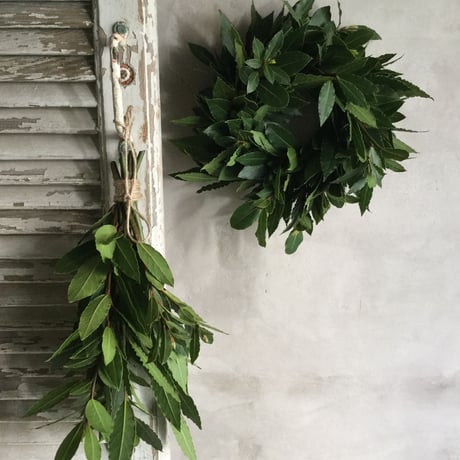 Bay Leaf Wreath & Swag (月桂樹のリース＆スワッグ)