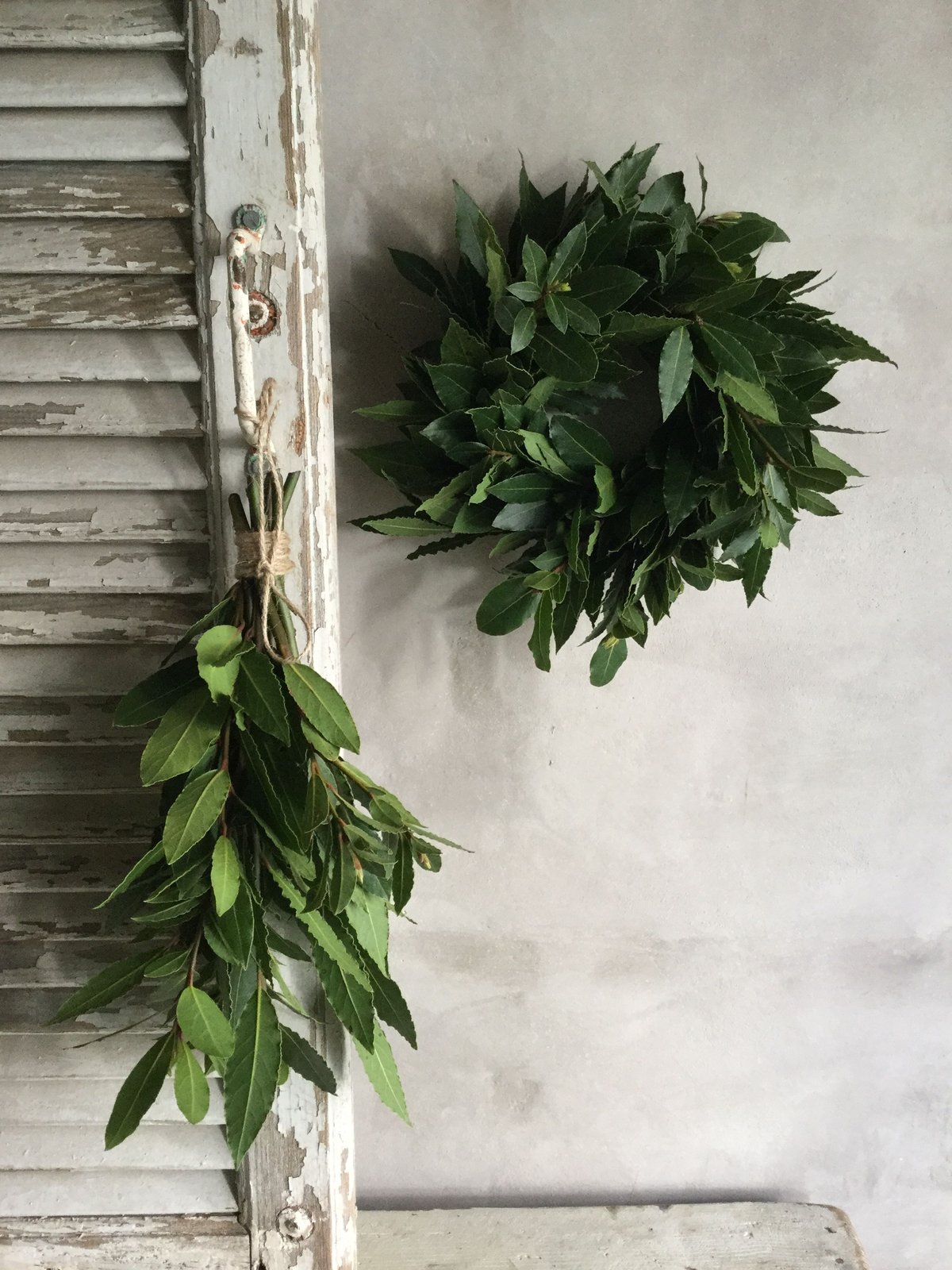 ✧︎*一点もの✧︎*。立体 木の実と月桂樹の葉のワイヤースワッグ ボタニカル＊02 ✧︎*一点もの✧︎*。立体 木の実と月桂樹の葉のワイヤー