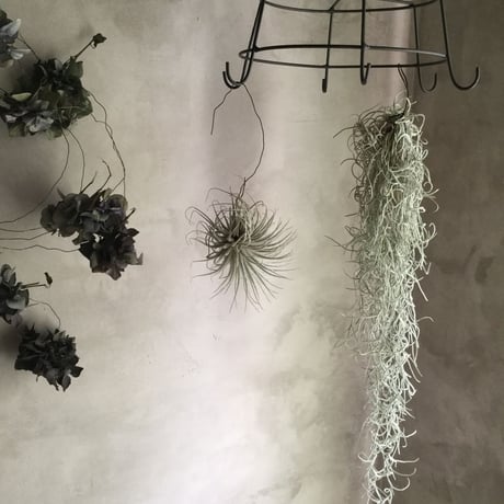 Iron Flower Hanger with Dried Hydrangea(アイアンフラワーハンガー・紫陽花ガーランド付き)
