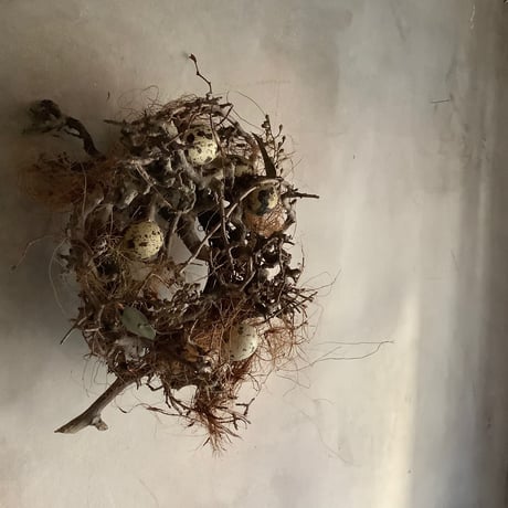 Birds nest wreath "Wagtail" (バーズネストリース・ワグテール)