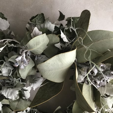 Silverleaf Wreath (ギンドロのシルバーリース)