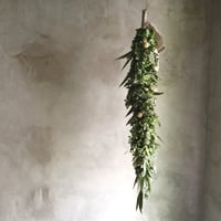 Dried Silver Cats Garland Swag (シルバーキャットのガーランドスワッグ）