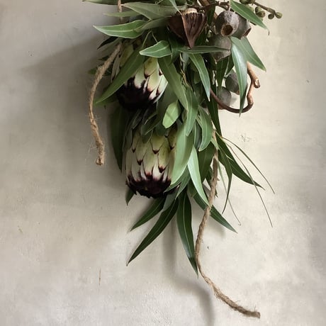 Protea Niobe  & Eucalyptus Swag (プロテア・ニオべとユーカリのスワッグ)