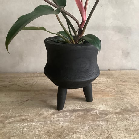 Philodendron Sayaka with with Legs Woodpot (フィロデンドロン・サヤカ/脚付ウッドポットつき)