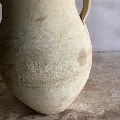 Alocasia Antoro Velvet with Tunisia pot(アロカシア・アントロヴェルヴェット/チュニジアポット付き)