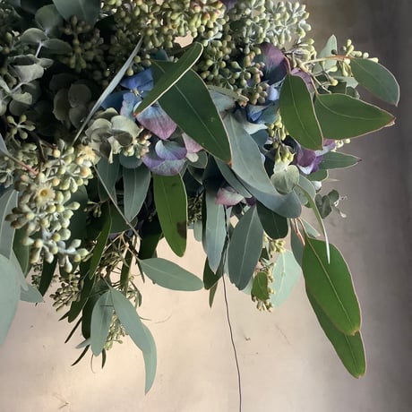 Antique hydrangea & eucalyptus Hanging wreath (アンティークアジサイとユーカリのハンギングリース)