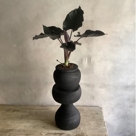 Black woodstool ＆ Potcover "Back in Black" Ver.(ウッドスツール&ポットカバー・ブラックバージョン)