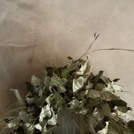 GInba-Gumi Silver Leaf Wreath( 銀葉グミのシルバーリーフリース)