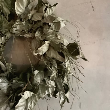 GInba-Gumi Silver Leaf Wreath( 銀葉グミのシルバーリーフリース)