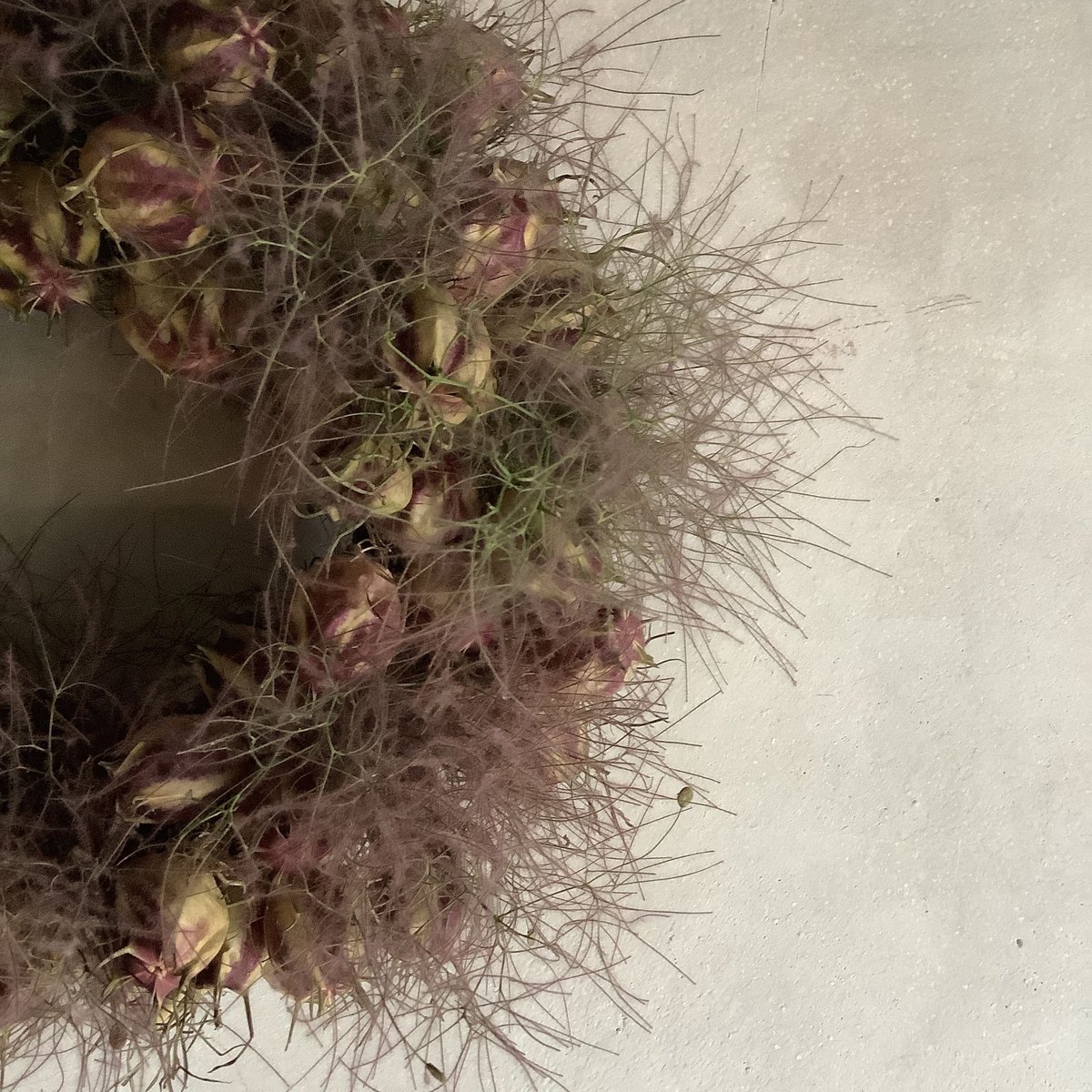 Dried Nigella & Smoke Tree Wreath (ニゲラとスモークツリーの