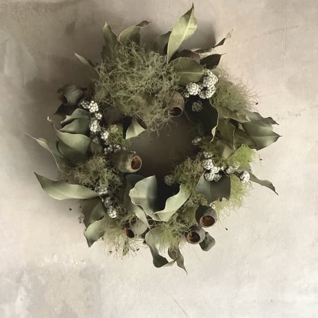 Dried Eucalyptus & Smoke Tree Wreath (ユーカリとスモークツリーのリース)