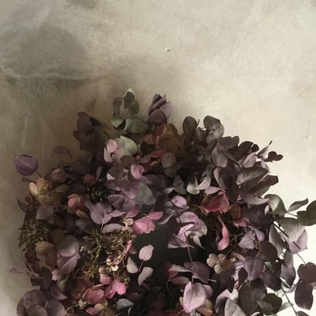 Colored Eucalyptus & Hydrangea Wreath (染めユーカリとミナヅキのドライリース)