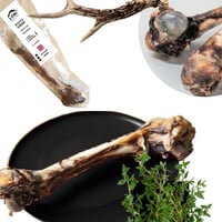 熊野・大腿骨 (大 151g~200ｇ） 1本 犬用