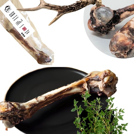 熊野・大腿骨 (大 151g~200ｇ） 1本 犬用