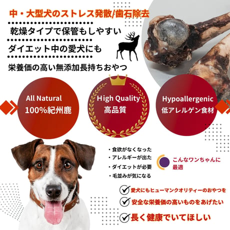 熊野・大腿骨 (大 151g~200ｇ） 1本 犬用