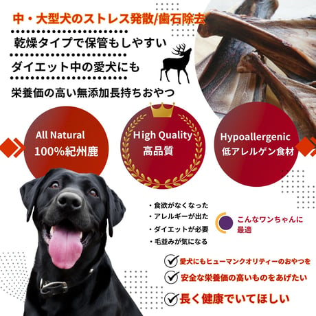 伊吹・肩甲骨（中50g~80g）犬用