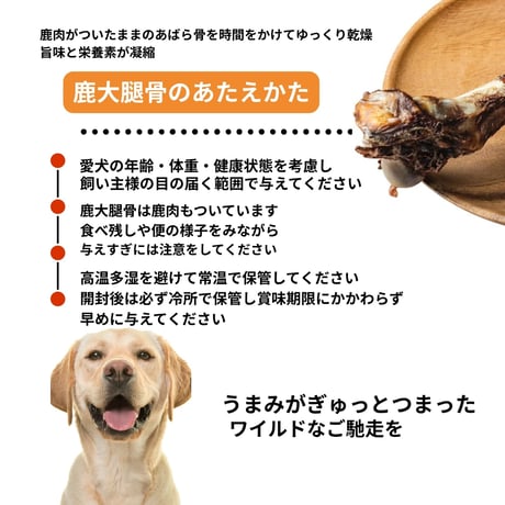 熊野・大腿骨 (大 151g~200ｇ） 1本 犬用