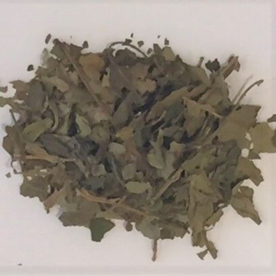 64a255beec918a002e2128a0