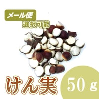オニバスの種子（けん実）　50g