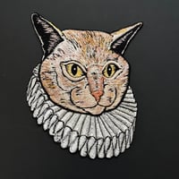 エリザベスカラーをつけた猫