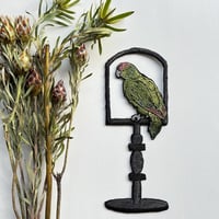 止まり木のオウム　左向き