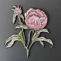イモムシと花