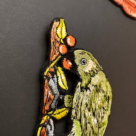 木の実を食べるオウム