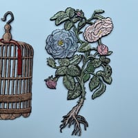 ロマンス　根っこのある花
