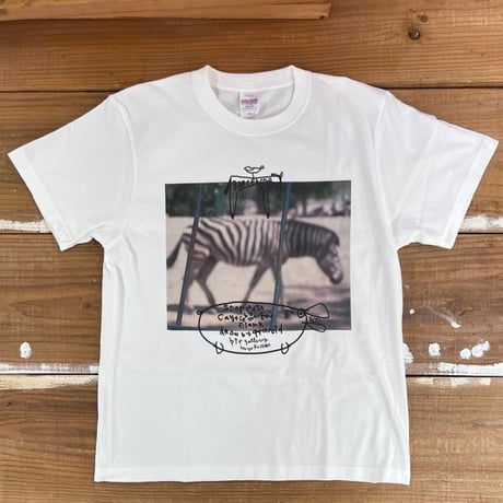 安齋肇 | STORES