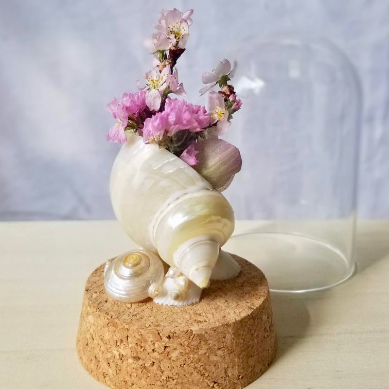 SAKURA handmade by 赤嶺尚子 (ガラスドーム ドライフラワー) | sm