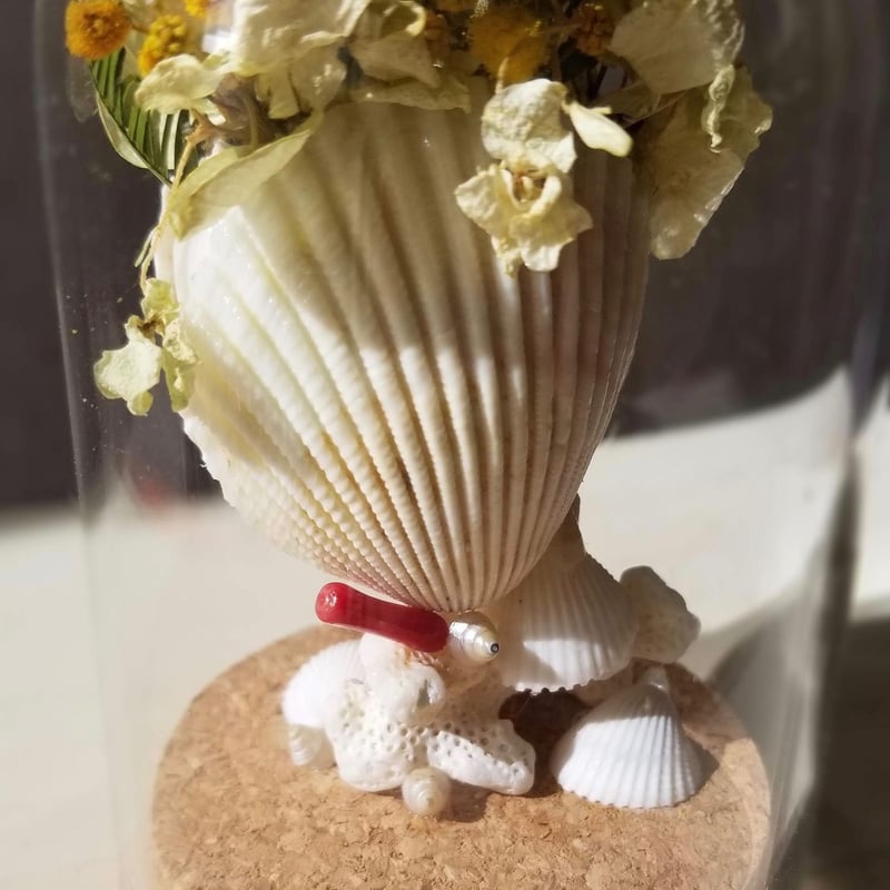 mimoza #2 handmade by 赤嶺尚子 (ガラスドーム ドライフラワー) |