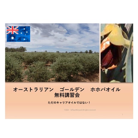 起業ミニメッセ 11/22　ホホバオイル無料講習会