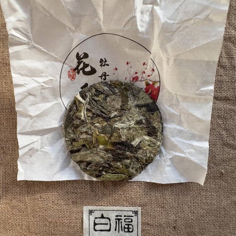 福建老白茶
