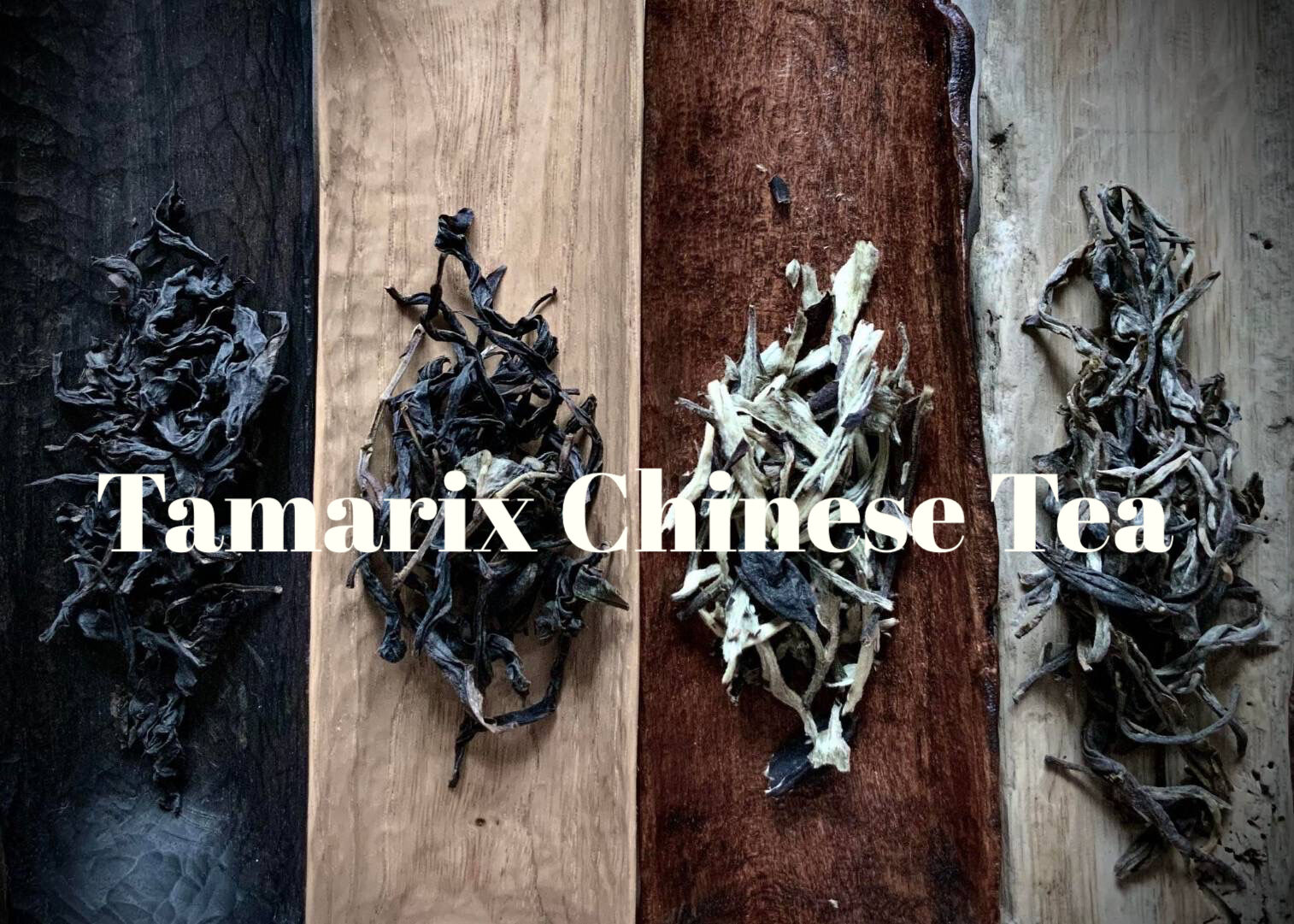 Tamarix Chinese Tea