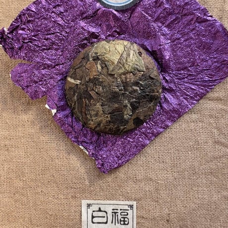 福建老白茶