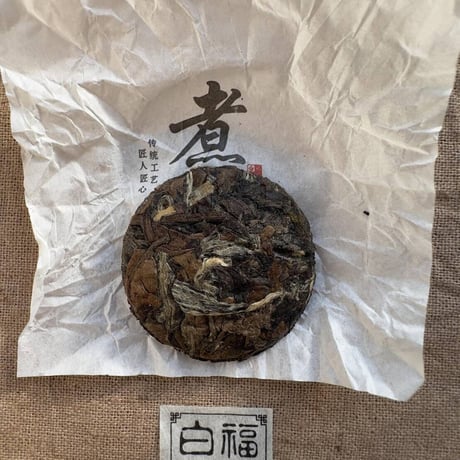 福建老白茶