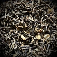 jasmine