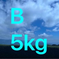 b 5kg