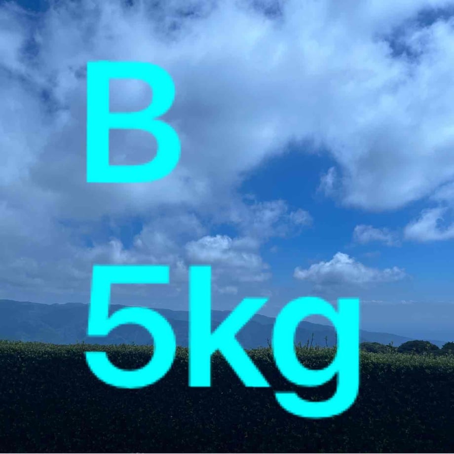 63defc0ddb33f61cab59eef4