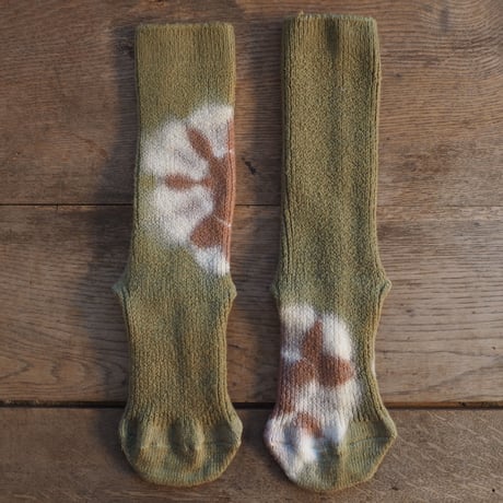 Rib Wool  Socks（背高泡立草×枇杷）