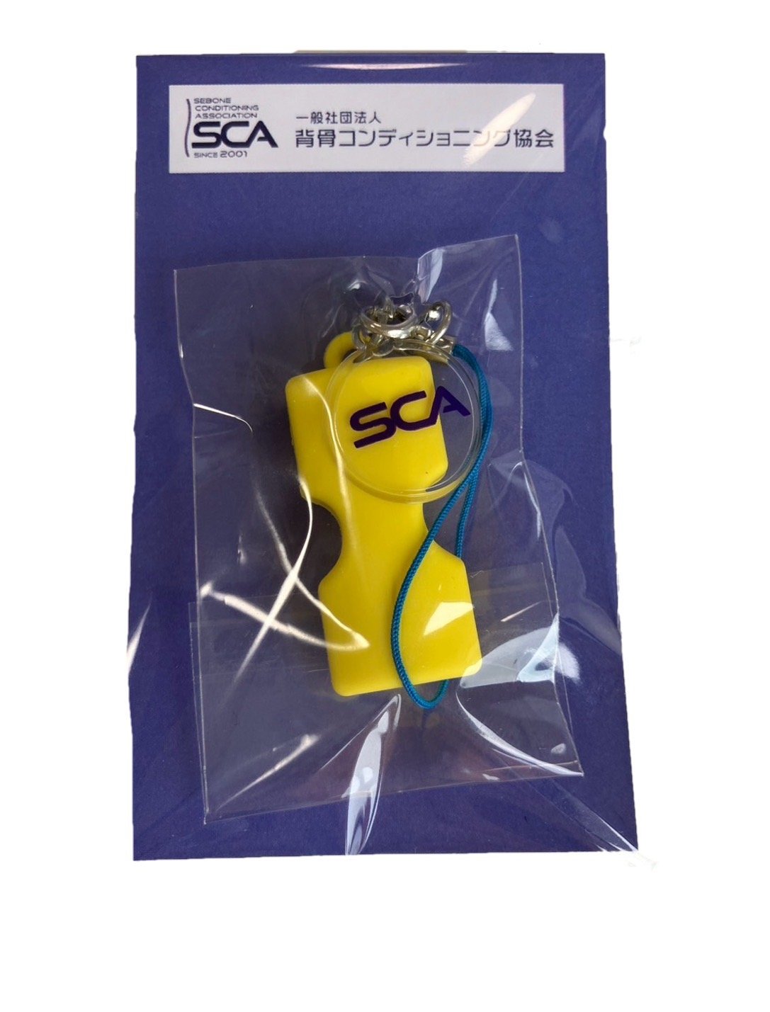 仙骨枕 Amazon.co.jp: 背骨コンディショニング協会 仙骨枕 | ストレッチ