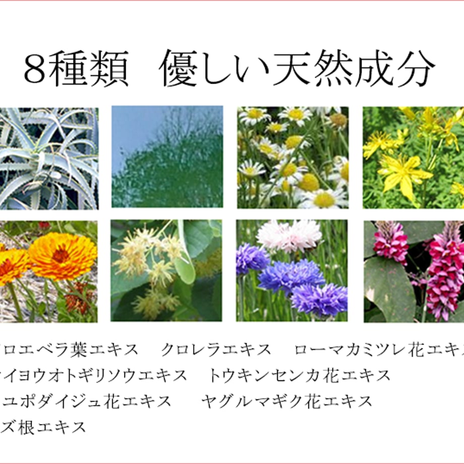 5a6c0222ed05e61e80000a4e