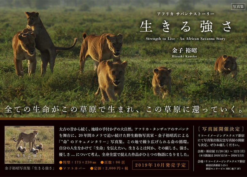 金子裕昭 写真集 アフリカ サバンナ ストーリー「生きる強さ
