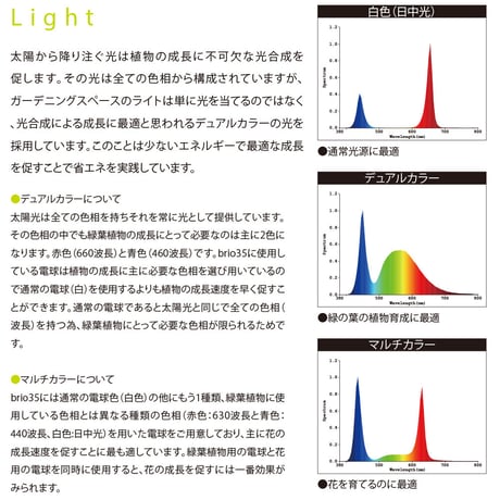 【ご予約専用】 「brio(ブリオ) 35」専用 LED バルブ ライト