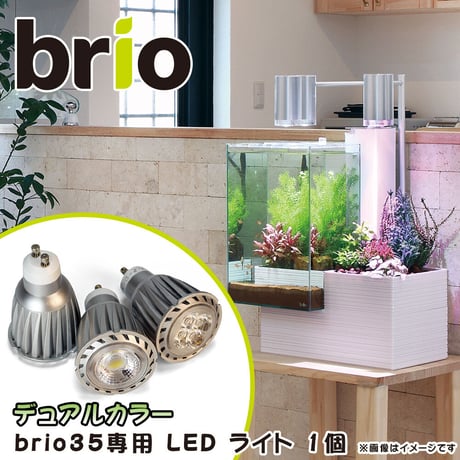 【ご予約専用】 「brio(ブリオ) 35」専用 LED バルブ ライト