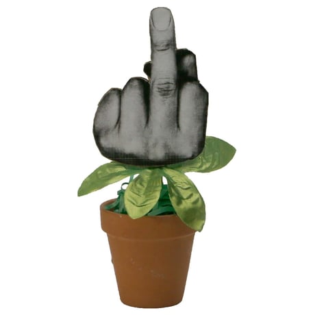 F**K YOU FLOWER