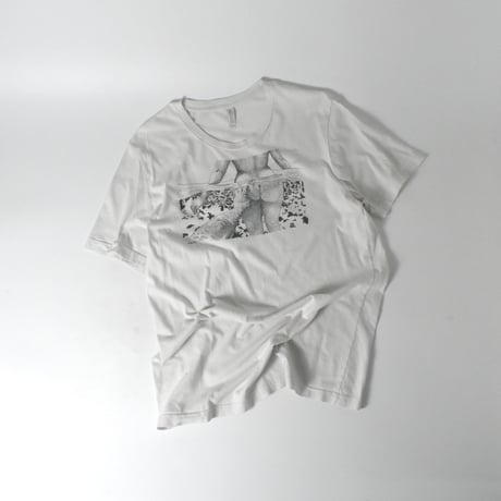 USED "ASS" T-shirts